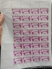 riproduzione .-.foglio